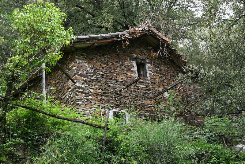 Chamborigaud (30530)