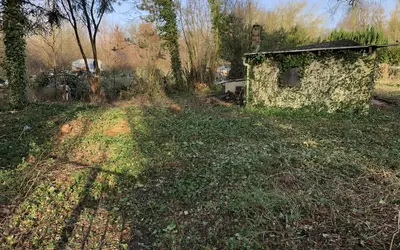 Milly-La-Forêt (91490)