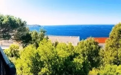 Calvi (20260)
