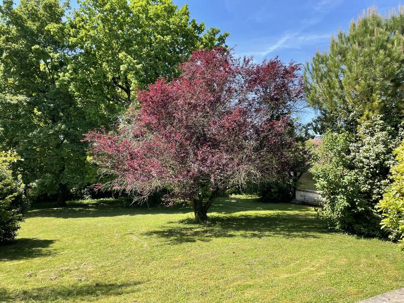 Rubelles (77950)