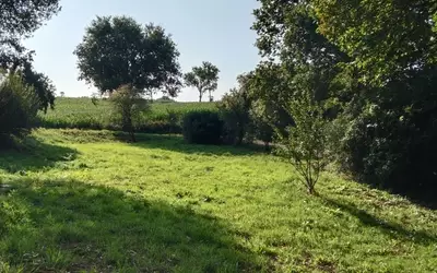 Châteauneuf-Du-Faou (29520)