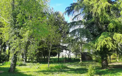 Saumur (49400)