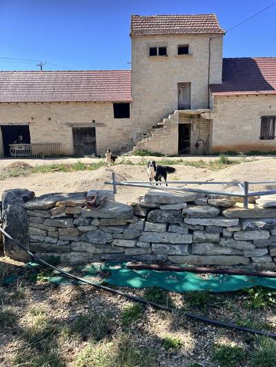 Vente maison 5 pièces Lacapelle-Livron (82160)