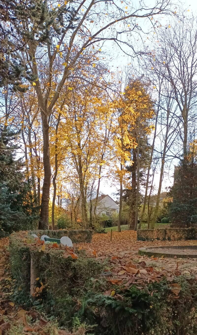 Meudon (92190)