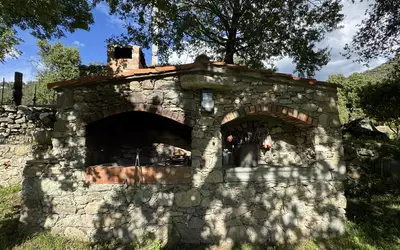 Omessa (20236)