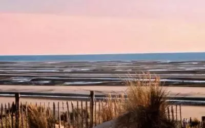 Camiers (62176)