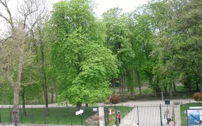 Saint-Denis (93200)