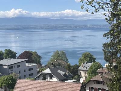 Vente appartement 2 pièces Évian-les-Bains (74500)