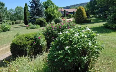 Siaugues-Sainte-Marie (43300)