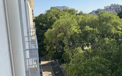 Nîmes (30000)