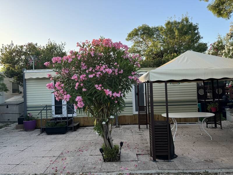 Fréjus (83600)