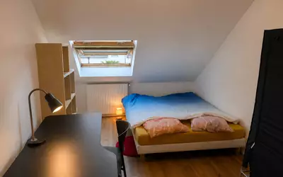 Angers (49000)