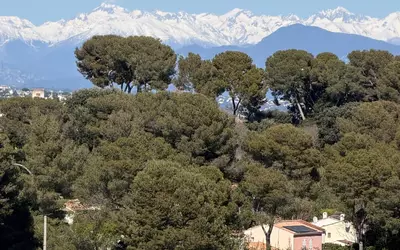 Antibes (06600)