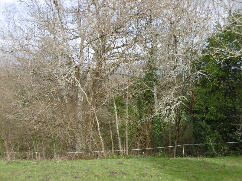 Beaupouyet (24400)