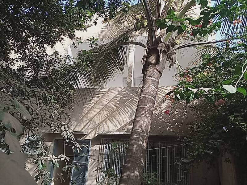 Sénégal