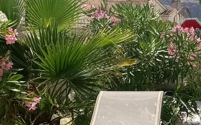 Roquebrune-Sur-Argens (83380)