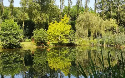 Landivisiau (29400)