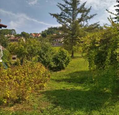 Arbois (39600)