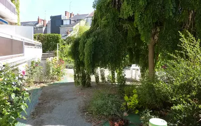 Angers (49000)