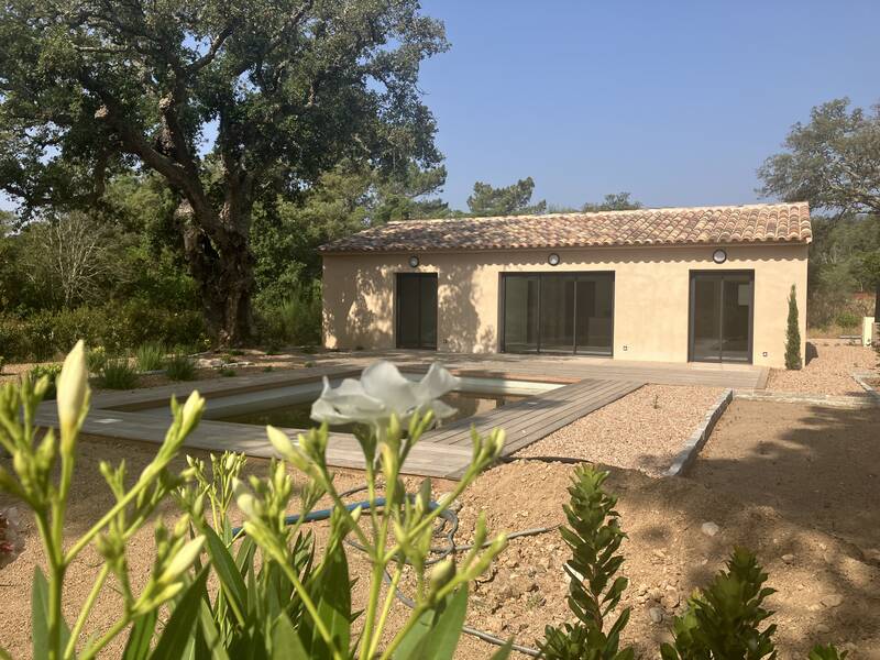 Lecci (20137)