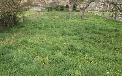 Souvigny (03210)