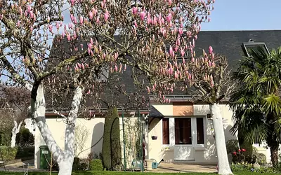 Luynes (37230)