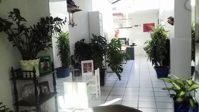 Vente maison 5 pièces Clamart (92140)