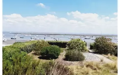 Arcachon (33120)