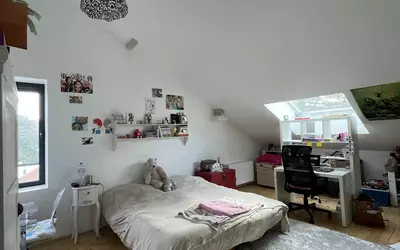 Vienne (38200)