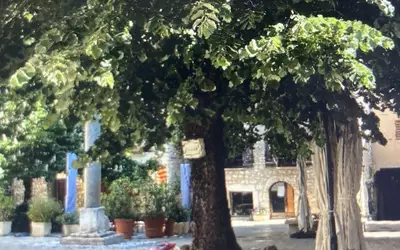 Vence (06140)