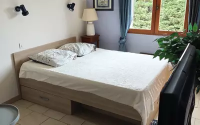 La Seyne-Sur-Mer (83500)