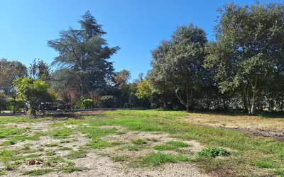 Léognan (33850)
