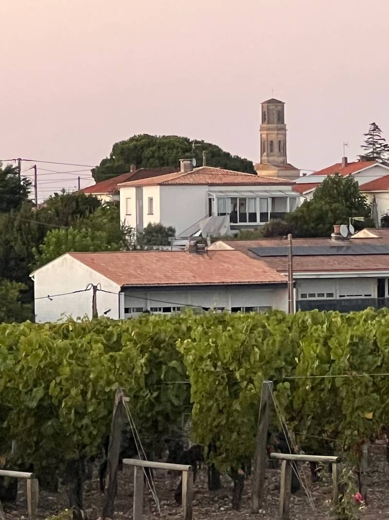 Pauillac (33250)