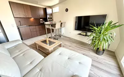 Argenteuil (95100)