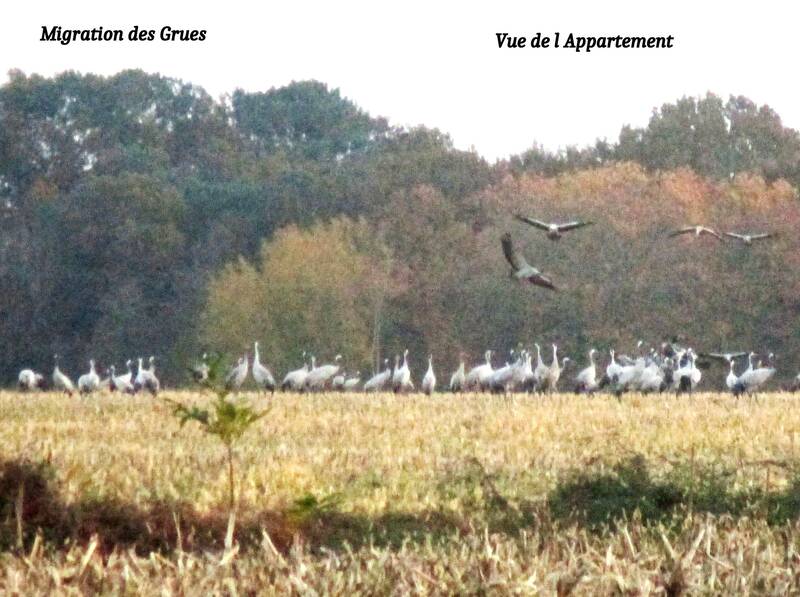 Capbreton (40130)