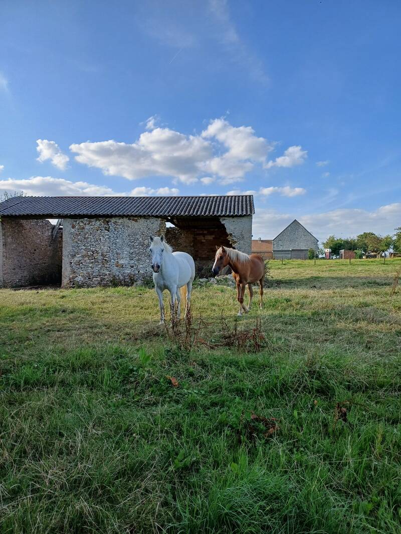 Les Essarts-Le-Vicomte (51310)