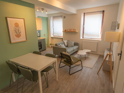 Location appartement 2 pièces Saint-Étienne (42)