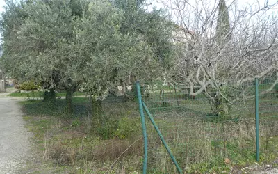 Caromb (84330)