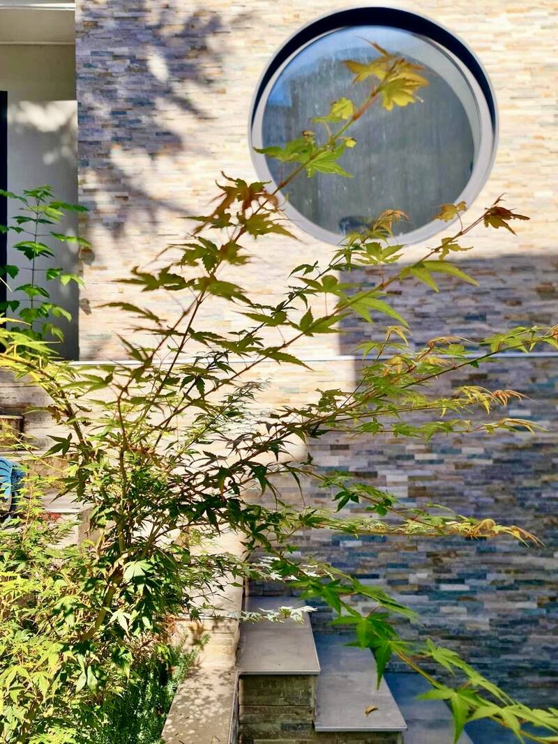 Bagneux (92220)