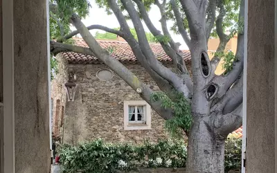 Grimaud (83310)