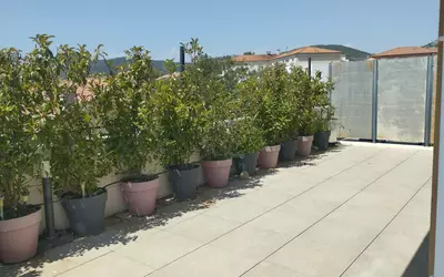 Hyères (83400)