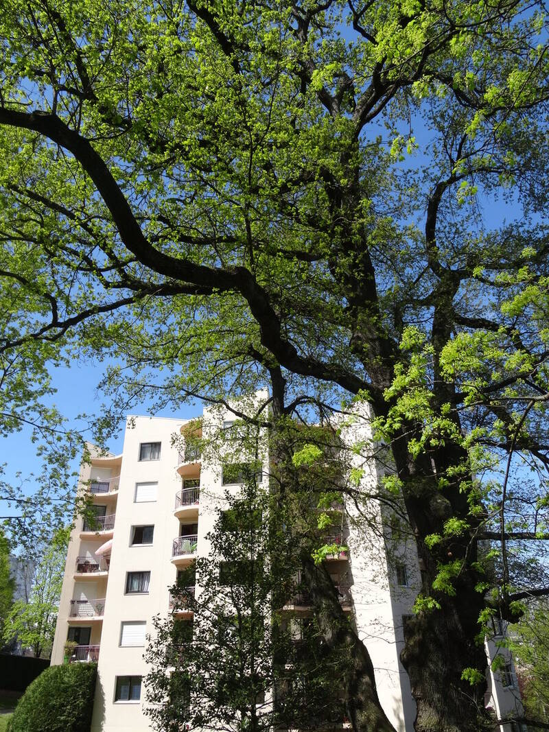 Saint-Étienne (42000)