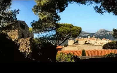 Calvi (20260)