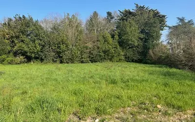 Mauves-Sur-Loire (44470)