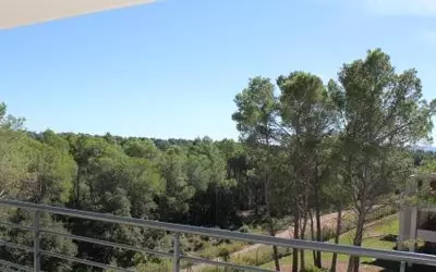 Roquebrune-Sur-Argens (83380)