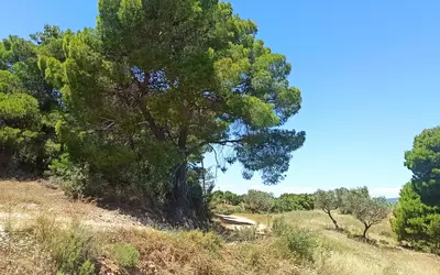 Grèce