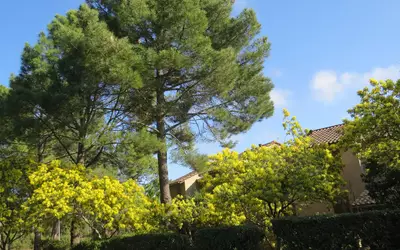 Lacanau (33680)