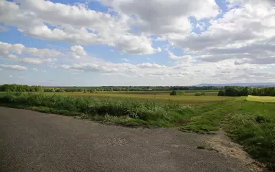 Wiwersheim (67370)
