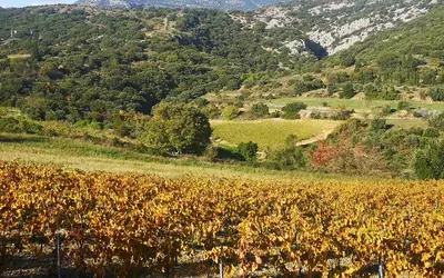 Montpeyroux