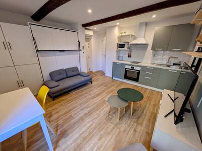 Vente appartement studio Villeneuve-Loubet (06270)